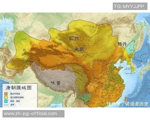 归化政策对国家文化认同与社会融合的深远影响探讨